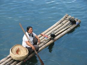 Woman with cormorant on long bamboo raft