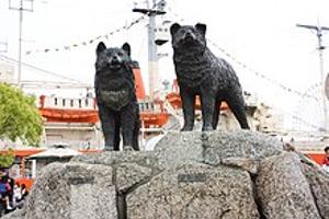 two dogs standing on a rock